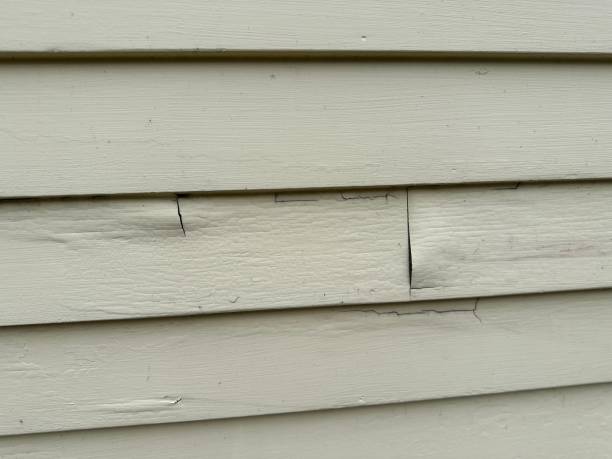 Affordable Siding Repair and Maintenance Services in Santa Clarita, CA